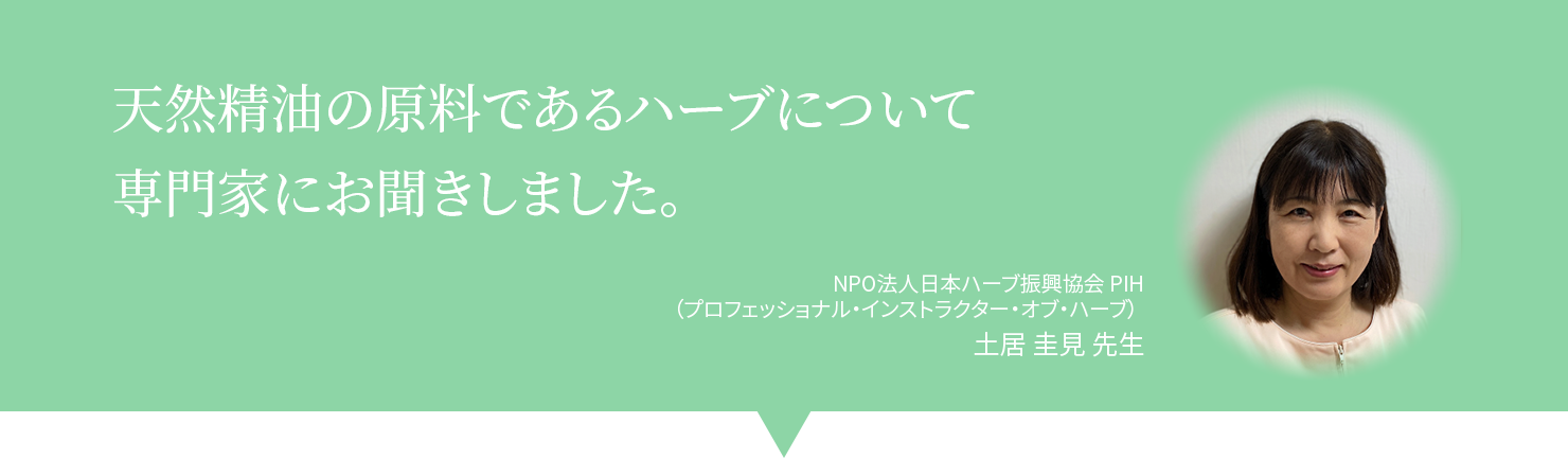 天然精油の原料であるハーブについて
                        専門家にお聞きしました。NPO法人日本ハーブ振興協会 PIH
                        （プロフェッショナル・インストラクター・オブ・ハーブ）
                        土居 圭見 先生