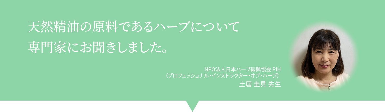 天然精油の原料であるハーブについて
専門家にお聞きしました。NPO法人日本ハーブ振興協会 PIH
(プロフェッショナル・インストラクター・オブ・ハーブ)
土居 圭見 先生