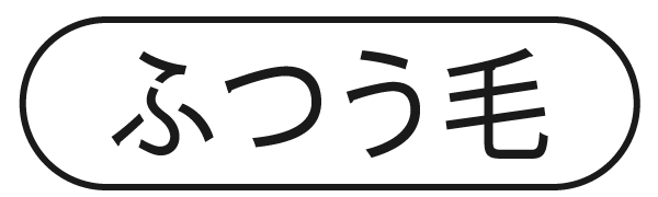 ふつう