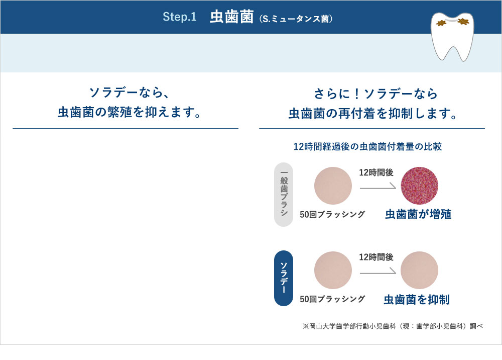 Step.1 虫歯菌（S.ミュータンス菌） ソラデーなら、 虫歯菌の繁殖を抑えます。さらに！ソラデーなら 虫歯菌の再付着を抑制します。