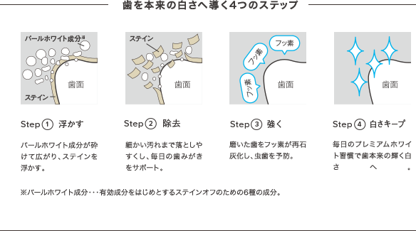 歯を本来の白さへ導く4つのステップ