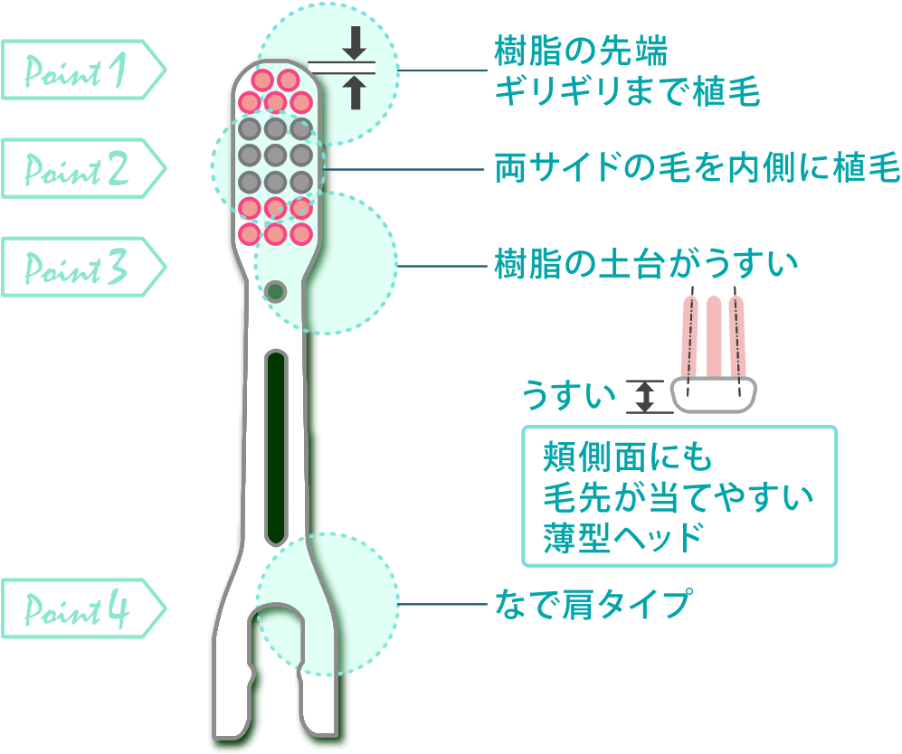 ソラデー公式通販サイト|SOLADEYソラデースペアブラシ(4本入) コンパクト(極細毛×1P): ソラデースペアブラシ(4本入) ソラデー公式通販サイト|SOLADEYソラデースペアブラシ(4本入) コンパクト(極細毛×1P): ソラデースペアブラシ(4本入)