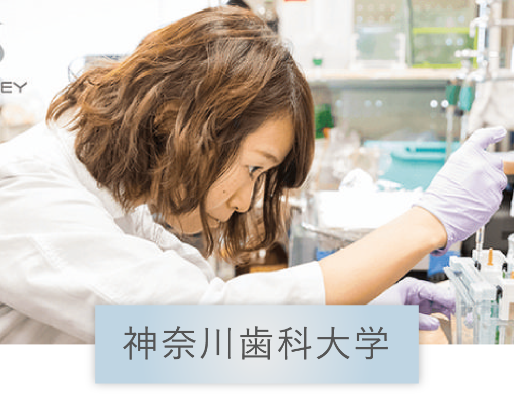 ソラデー公式通販サイト|SOLADEY音波振動歯ブラシ ソラデー