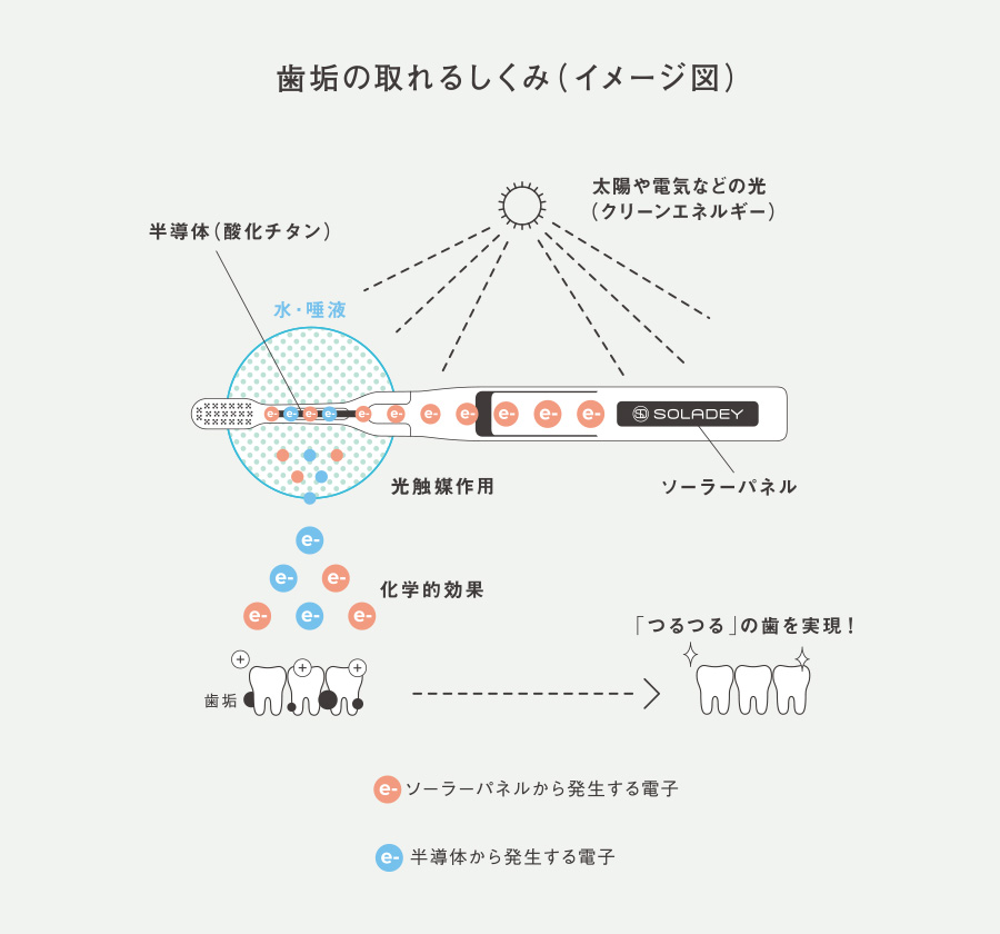 歯垢の取れるしくみ